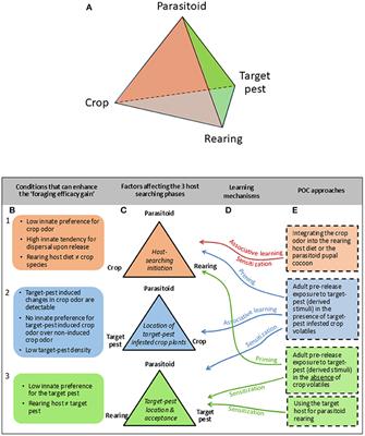 Integrating Parasitoid Olfactory Conditioning in Augmentative Biological Control: Potential Impact, Possibilities, and Challenges